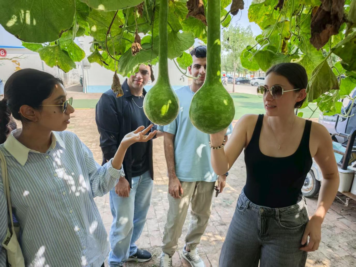 微信图片_20250911102046_47_211